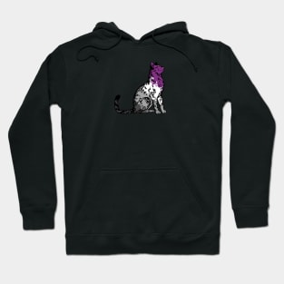 ace pride kitty Hoodie